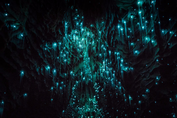 пещера вайтомо фото 2 (700x466, 402Kb)