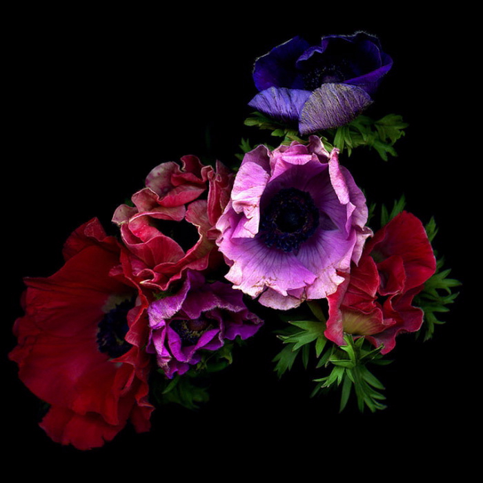 589 (700x700, 270Kb)