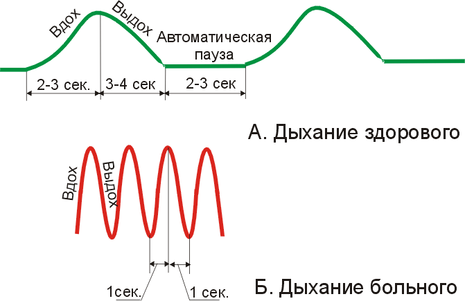 alt="       "/2835299_DIHANIE_ChELOVEKA (671x435, 17Kb)