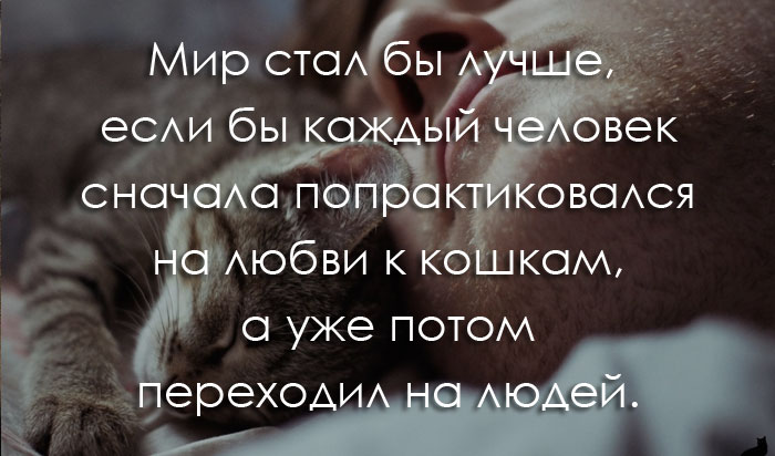 umnyie-frazyi-i-tsitatyi-so-smyislom (700x412, 65Kb)