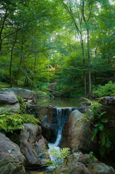 IMG_20170717_141156 (236x355, 26Kb)