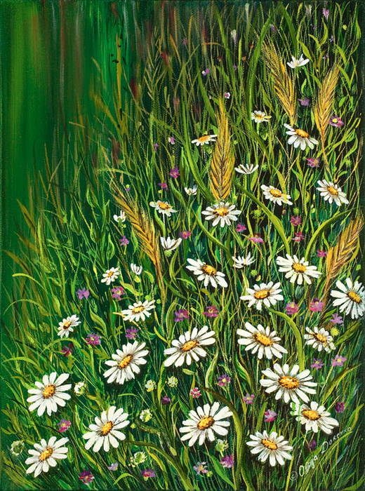 daisies (520x700, 678Kb)