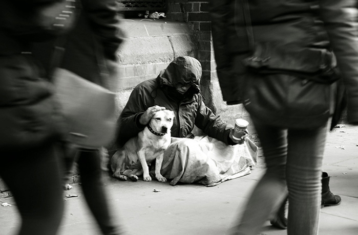 homeless-dogs-unconditional-love-best-friend-32__700 (700x460, 150Kb)