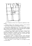  Page55 (495x700, 166Kb)