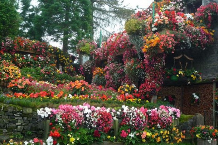 Цветочный дом в Англии устроили 