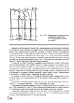  Page62 (504x700, 226Kb)