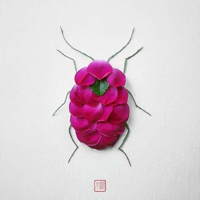 Цветочные насекомые от канадского художника