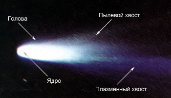 3423656_8_1_ (350x200, 17Kb)