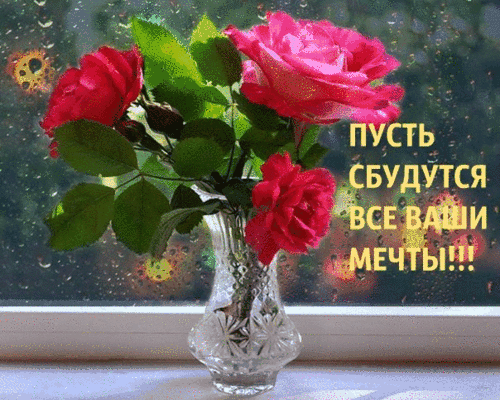 Пусть все твои мечты сбудутся поздравление Пусть все твои мечты сбудутся поздравление