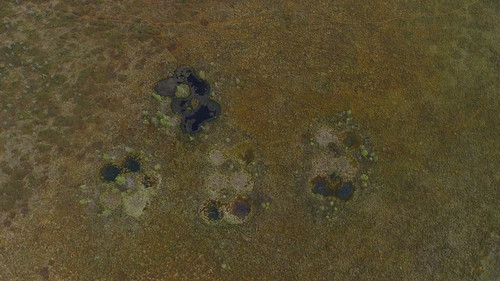 s67264240 (500x281, 53Kb)