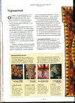  Page30 (508x700, 361Kb)