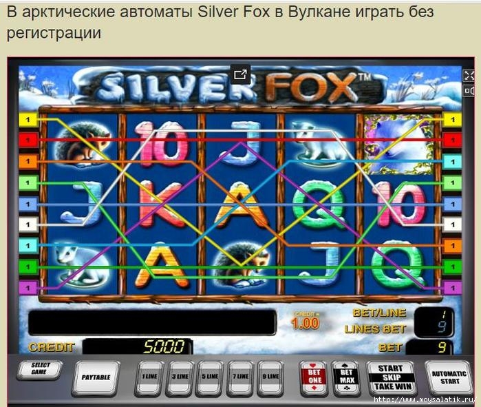  Silver Fox   /4121583_pvre768 (700x591, 269Kb)