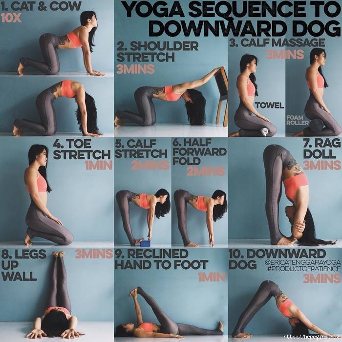 downward-dog-yoga-sequence (700x700, 238Kb)