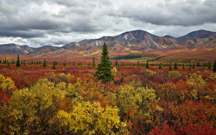 Fall_Colors_17 (700x437, 534Kb)