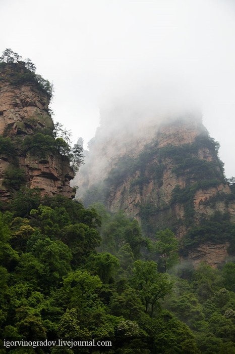 Планета Пандора - реальна! Горы в парке Чжанцзяцзe (Китай)