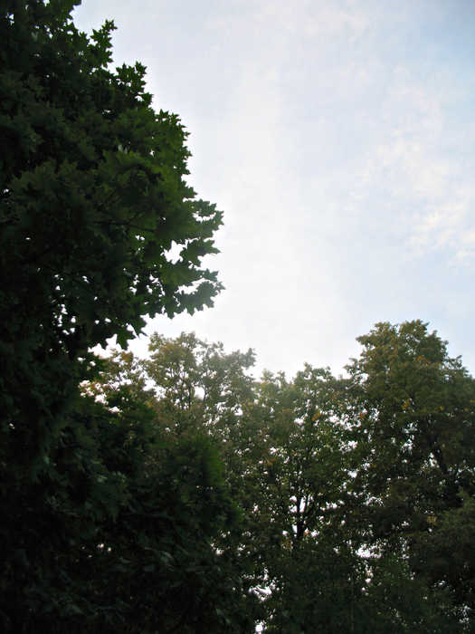 111 070 (525x700, 481Kb)