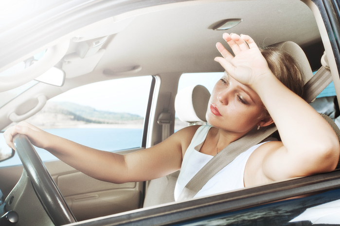 firestock_woman_in_car (700x466, 304Kb)