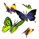 80141479_1022_babochkiznarodru582435 (133x133, 100Kb)