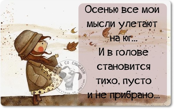 Прикол про осень цитаты Прикол про осень цитаты