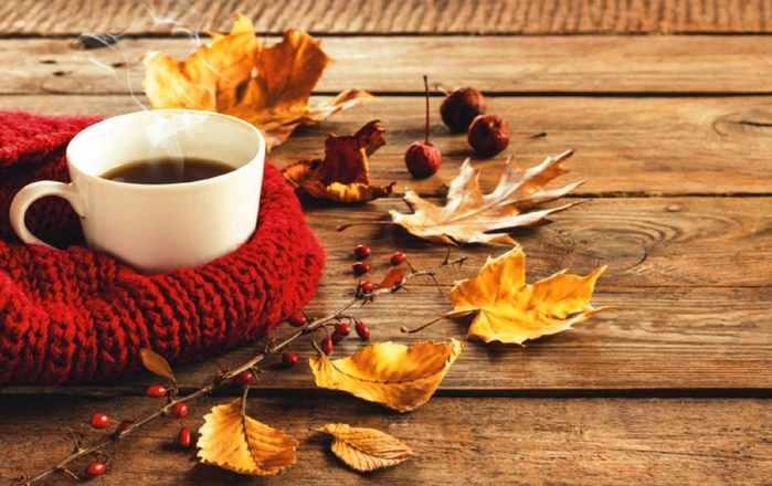 rf1g_autumn_coffee_photography_fall_cup_leaf_hd-wallpaper-1835682 (700x440, 371Kb)