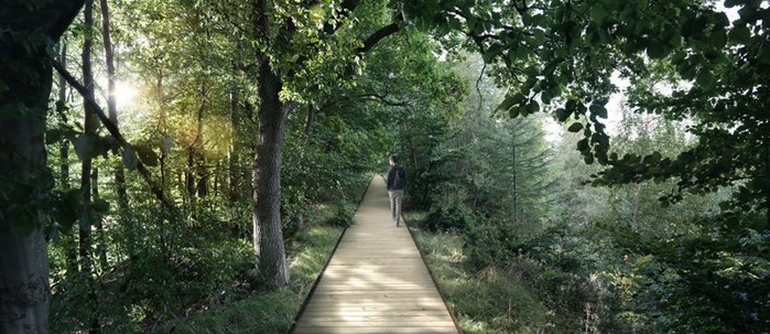 В Дании появится возможность увидеть лес с высоты, прогуливаясь по спиральной тропе