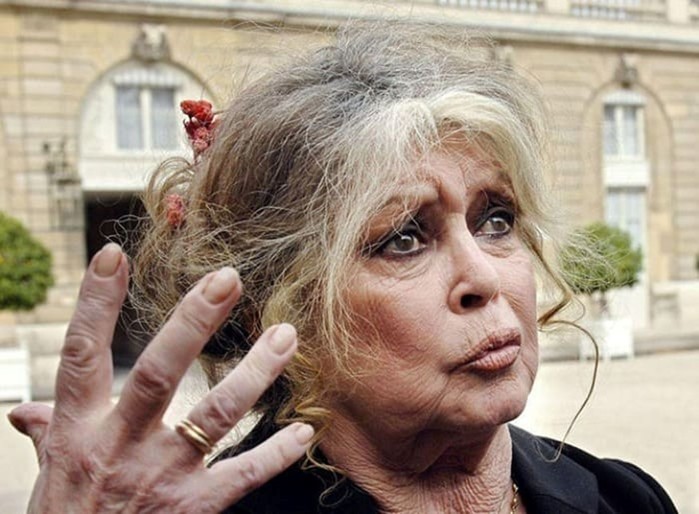 Брижит Бардо: одной из самых красивых актрис французского кино исполнилось 83 года