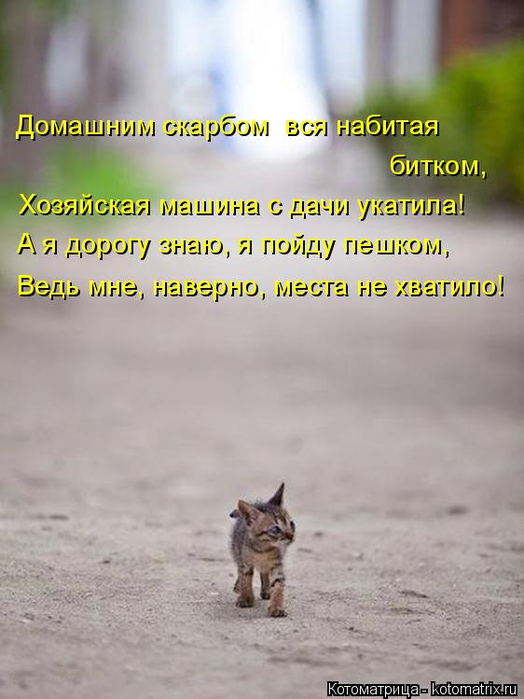 13 (524x700, 267Kb)