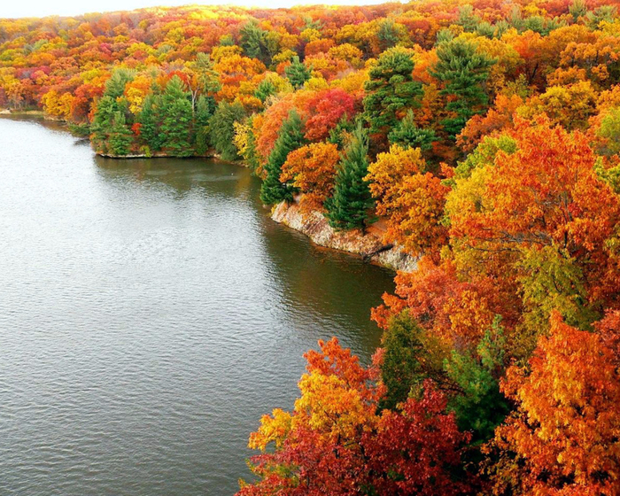 amazing-colorful-autumn-scenery (700x560, 603Kb)