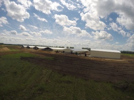 ВОДОПОДГОТОВКА ДЛЯ НОВОГО СВК В КУРСКОЙ ОБЛАСТИ ВОДОПОДГОТОВКА ДЛЯ НОВОГО СВК В КУРСКОЙ ОБЛАСТИ
