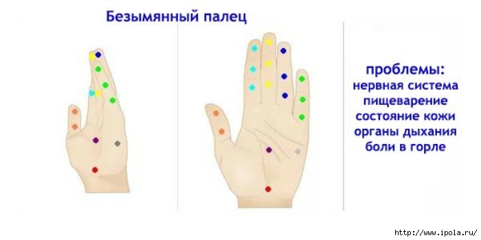 alt="Связь между пальцами рук и внутренними органами"/2835299_Svyaz_mejdy_palcami_ryk_i_vnytrennimi_organami4 (700x350, 71Kb)