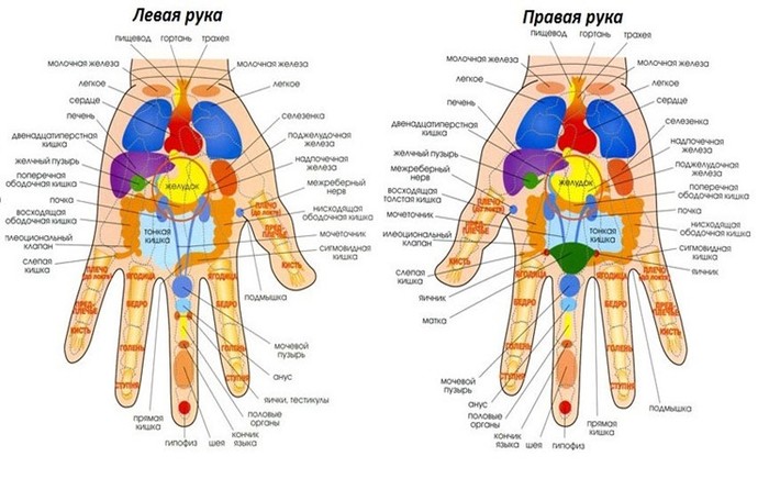 Су джок карта стопы