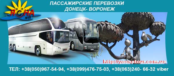 1507999427_Donetsk_Voroneg (600x263, 56Kb)