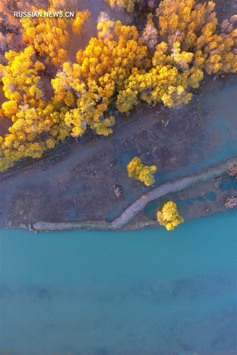 17 (468x700, 349Kb)