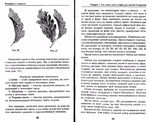  Page14 (700x571, 352Kb)