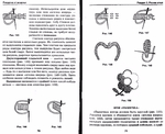  Page33 (700x570, 253Kb)