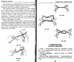  Page79 (700x593, 250Kb)