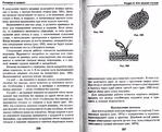  Page111 (700x567, 351Kb)
