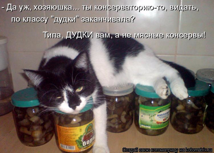 kotomatritsa_J (700x501, 350Kb)