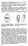  Shvetsova_-_tehnologia_obuvi-296 (428x700, 254Kb)