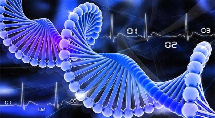 10 невероятных фактов о ДНК, которые будут интересны и взрослым, и детям 