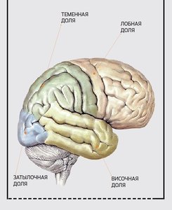 53dab79ad3f881ad114081cac77e0317_fitted_300x300 (245x300, 15Kb)