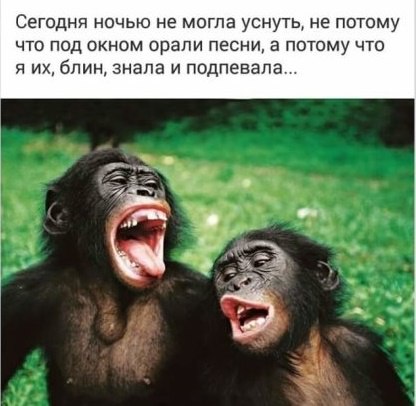 s3JlCv_h5eU (416x406, 38Kb)