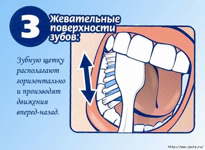 alt="Правильный уход за зубами"/2835299_Pravilnii_yhod_za_zybami3 (700x513, 195Kb)