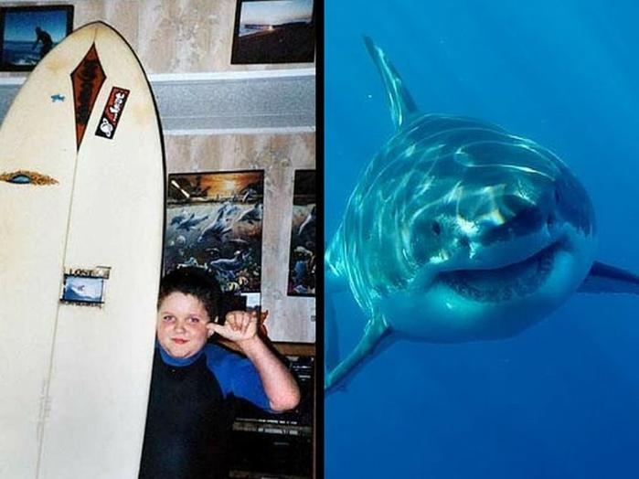 4 жуткие истории нападения акул, после которых не хочется заходить в воду