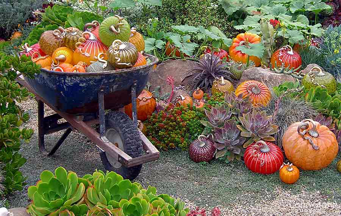 pumpkin-garden-3 (700x443, 503Kb)