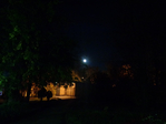 Превью DSC03706 (700x525, 230Kb)