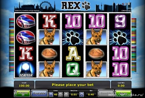 Rex-Slot-Main (500x339, 135Kb)