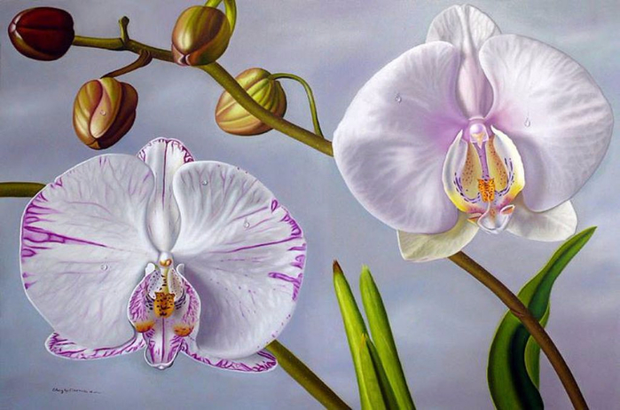 Цветы художника Эллери Гутьеррес (Ellery Gutierrez)1 (700x462, 309Kb)
