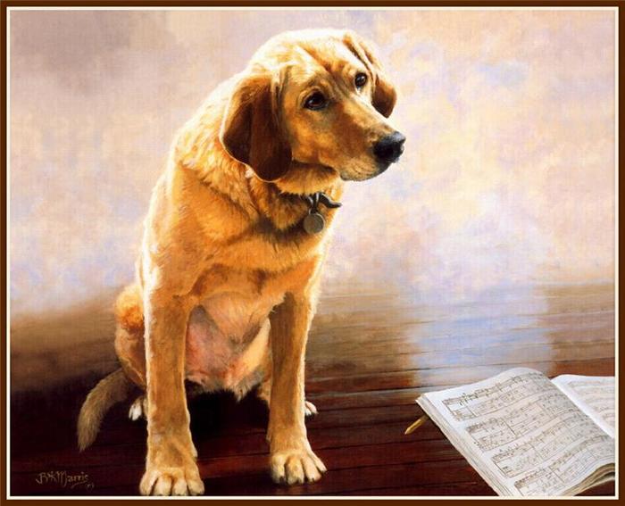 4843185_5 (700x567, 52Kb)
