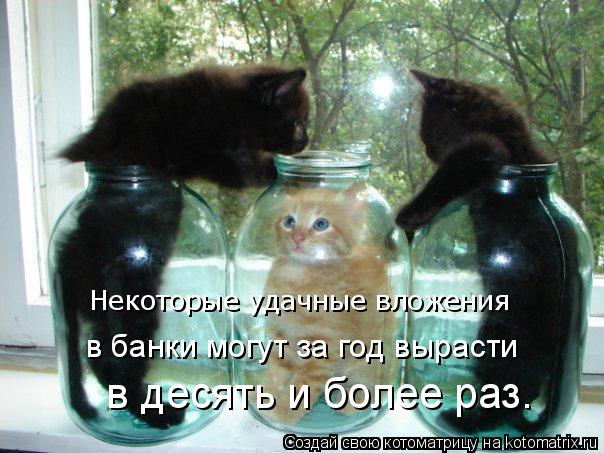 kotomatritsa_Q (604x453, 59Kb)